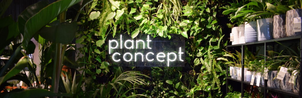 Neon Plant Concept wśród roślin w sklepie