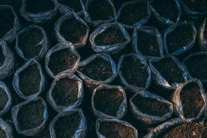Read more about the article PRZEPUSZCZALNOŚĆ PODŁOŻA